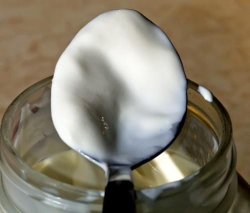 Yogures probióticos