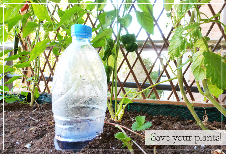 Riego automático casero - Homemade watering system