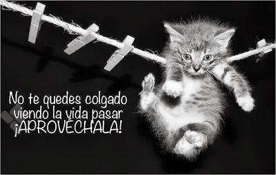 No te quedes colgado viendo la vida pasar