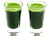 Estructura clorofila