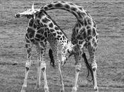 Parque Naturaleza Cabárceno