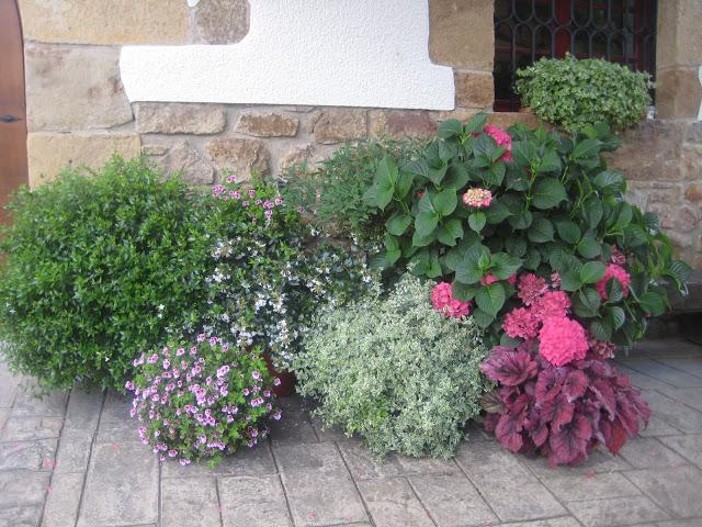 Las flores del pueblo
