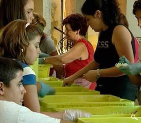 Nos vamos de fiesta. Batalla de las flores en Laredo