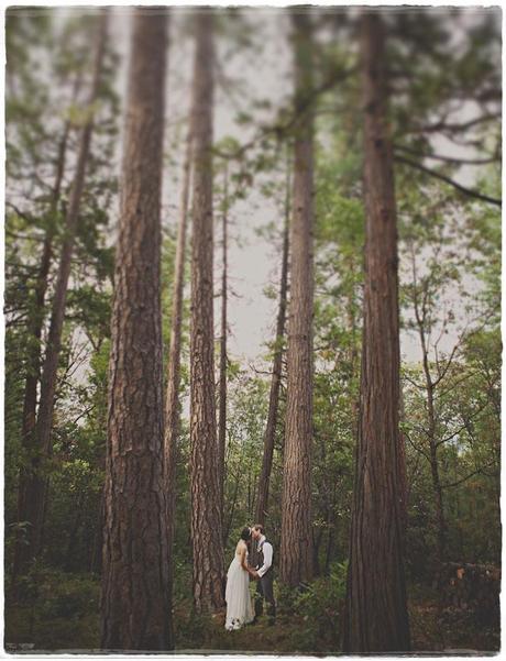 Una boda entre árboles -Singular Day- Una boda entre árboles