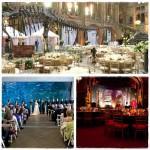 Una boda entre árboles Una boda entre árboles