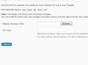 Dynamic Headers: Plugin WordPress para insertar imágenes flash cabecera blog
