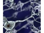 cocaína cambia cerebro