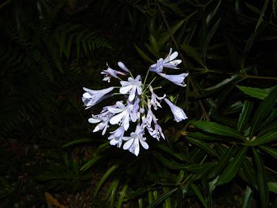 Una pizca de verano en imágenes.