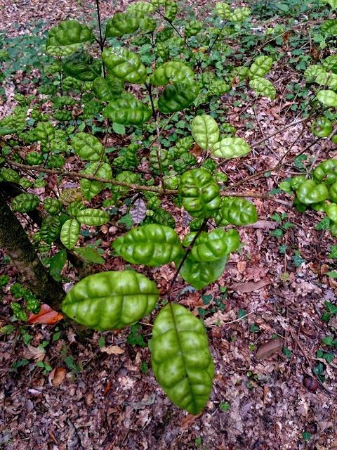 Una pizca de verano en imágenes.