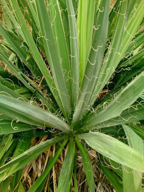 Una pizca de verano en imágenes.