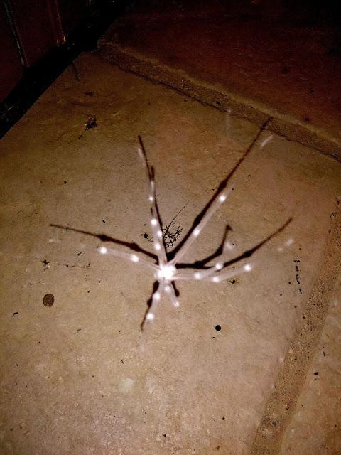 Una pizca de verano en imágenes.