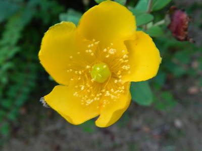 Una pizca de verano en imágenes.