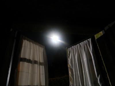 Una pizca de verano en imágenes.