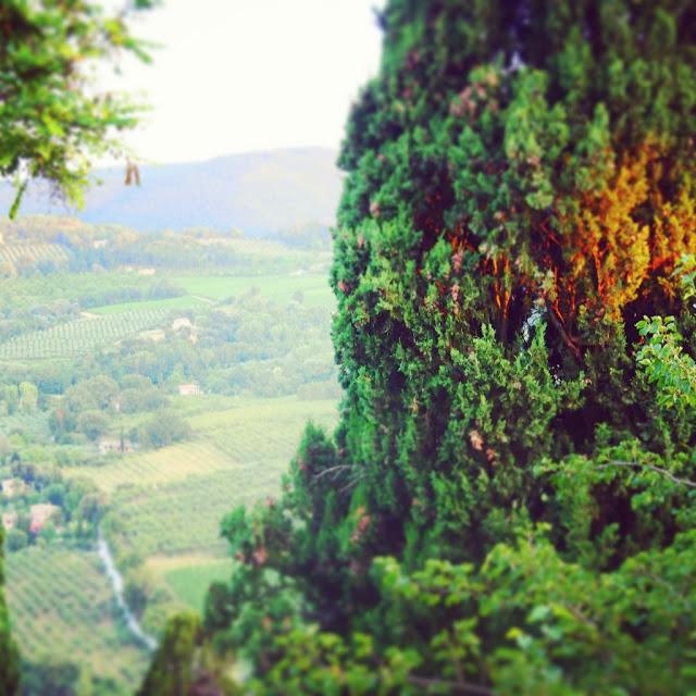 ¡I LOVE ITALY!