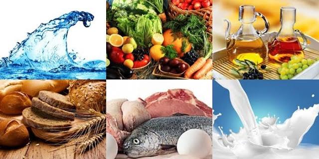 la significación de viandas saludable