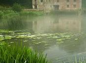 Sigue siendo auténtico