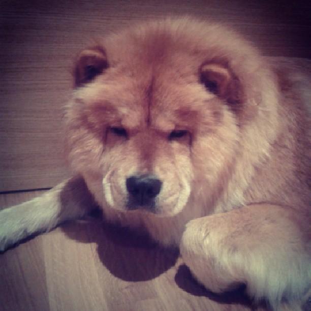 InstaLowCost y Ganadora Sorteo Petit Sweet Shop