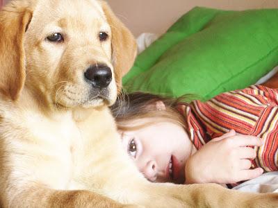 Tener un perro en casa mejora la salud de los niños