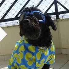 Vacaciones pero en Familia y con nuestra mascota a todos lados