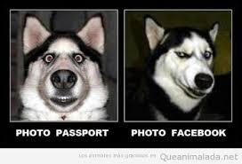 Vacaciones pero en Familia y con nuestra mascota a todos lados