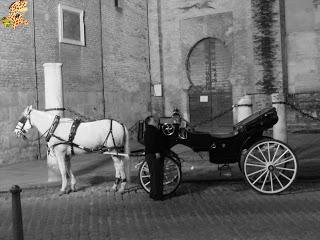 Cinco visitas imprescindibles en Sevilla