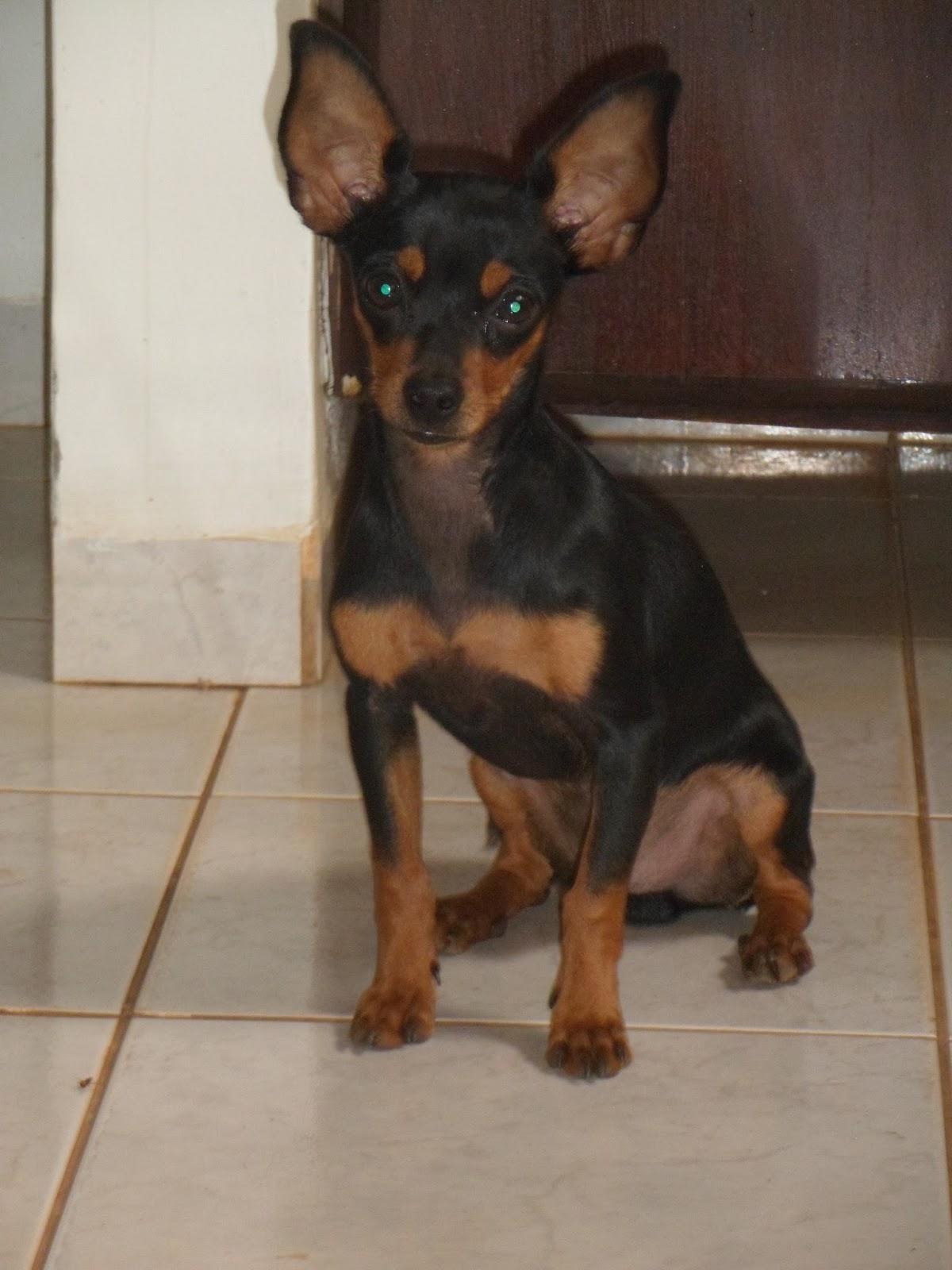 Una imagen vale más que 1000 palabras