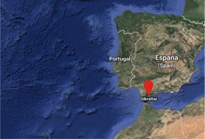 Actividades sobre aves migratorias de SEO/BirdLife (España)