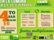 Canje cambio