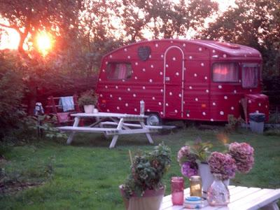 Imágenes de la semana