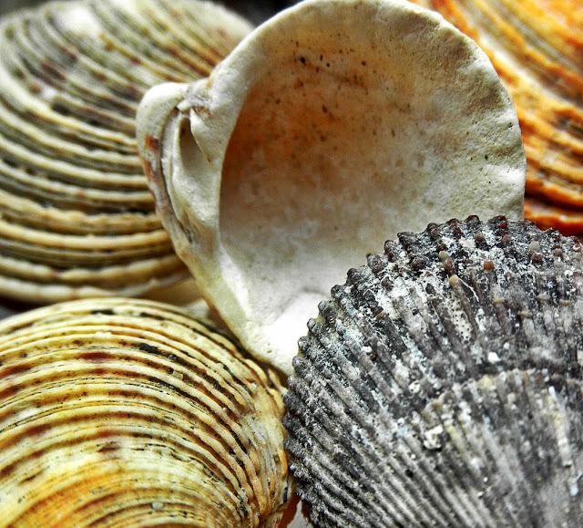 Una nueva iniciativa!