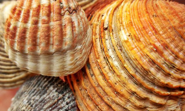 Una nueva iniciativa!