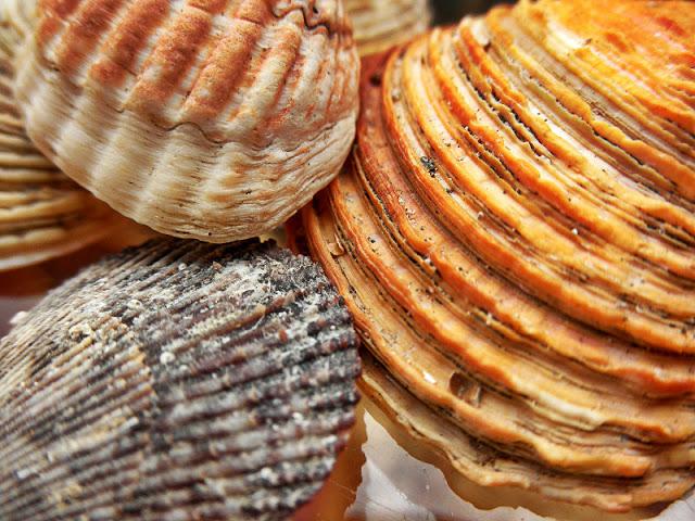 Una nueva iniciativa!