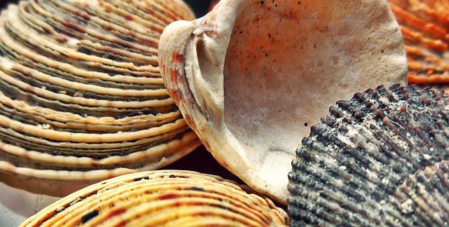 Una nueva iniciativa!