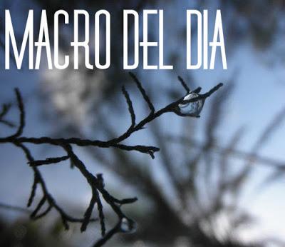 Una nueva iniciativa!