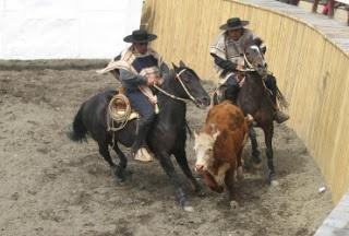 JINETE DE TORRES DEL PAINE ENCABEZÓ EL CUADRO DE HONOR DE LA ASOCIACIÓN DE RODEO MAGALLANES