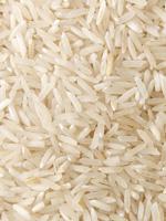 Comida para compartir con tu mascota el mejor nuestros perros