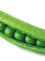 Comida para compartir con tu mascota el mejor nuestros perros