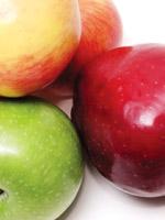 Comida natural para tu perro 10 productos que puedes usar