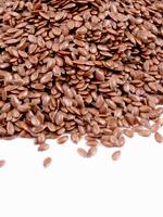 Comida natural para tu perro 10 productos que puedes usar