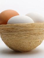 Comida natural para tu perro 10 productos que puedes usar