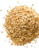 Comida natural para tu perro 10 productos que puedes usar