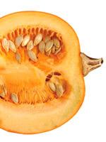 Comida natural para tu perro 10 productos que puedes usar