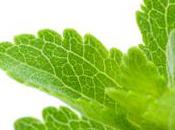 Stevia control peso