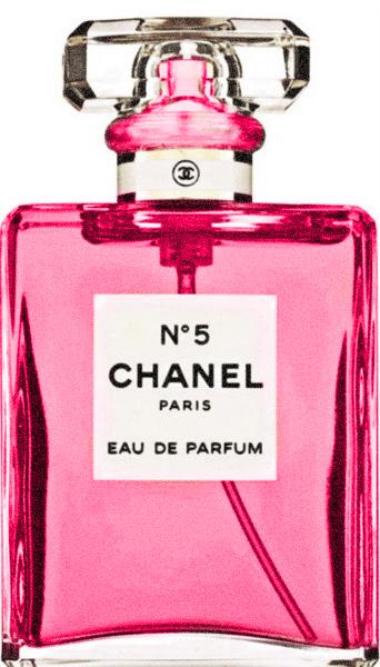 EL FINAL del VERANO ...