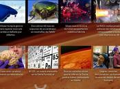 Esta semana ciencia Agosto 2013