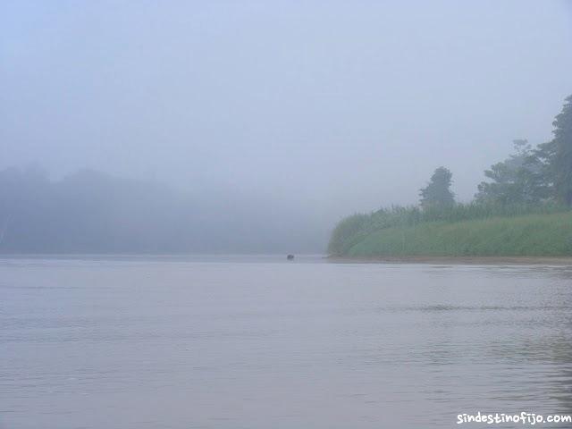 Selva Borneo al amanecer