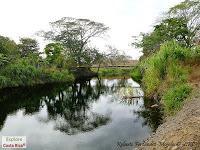 Higuerillas -Guanacaste- a Punta Morales -Puntarenas-