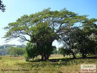 Higuerillas -Guanacaste- a Punta Morales -Puntarenas-