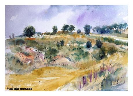 No sólo rastrojos No sólo rastrojos