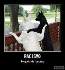 1. A propósito del día del Negro en Costa Rica...